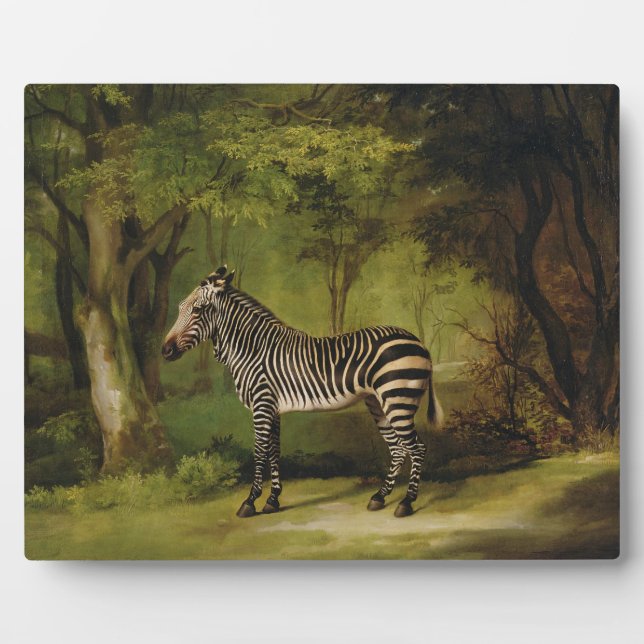 George Stubbs | A Zebra, 1763 (oil on canvas) Plaque (Front)