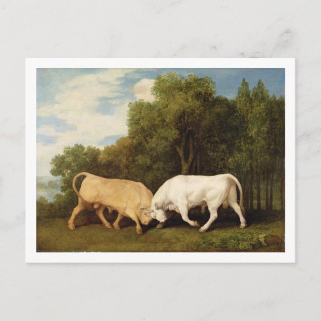 George Stubbs | Bulls Fighting, 1786 (oil on panel Postcard (Front)