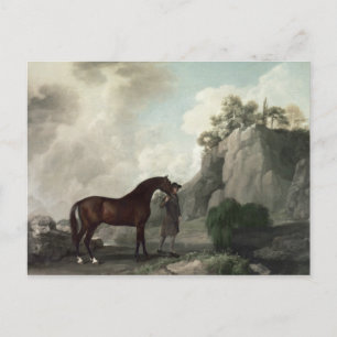 George Stubbs Cato' and Groom Postcard