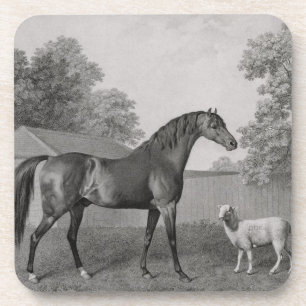 George Stubbs   Dungannon, engraved by George Town Coaster