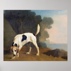 George Stubbs Foxhound on the Scent, c.1760 (oil Poster