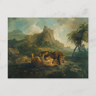 George Stubbs Leopards at Play, c.1763-8 Postcard