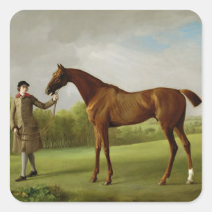 George Stubbs Lustre, held by a Groom, c.1760-62 Square Sticker