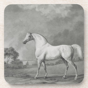 George Stubbs Mambrino, engraved by George Townl Coaster