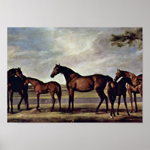 George Stubbs - Mares before an impending storm Poster