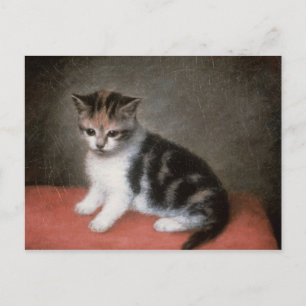 George Stubbs   Miss Ann White's Kitten, 1790 Postcard