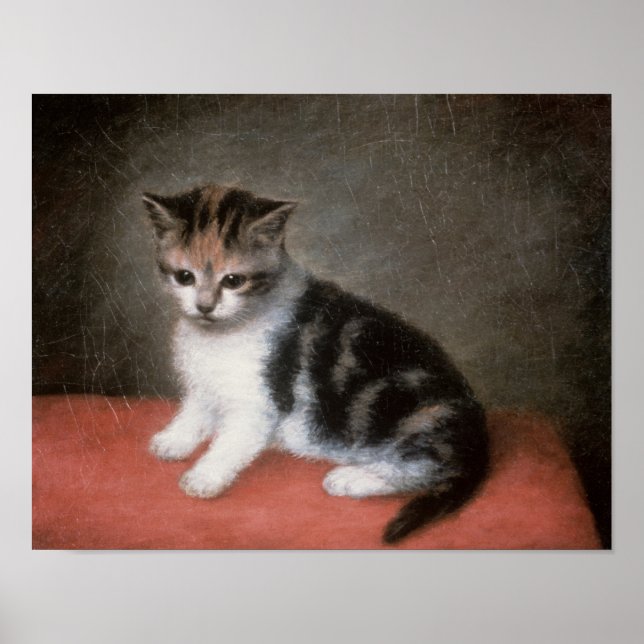 George Stubbs | Miss Ann White's Kitten, 1790 Poster (Front)