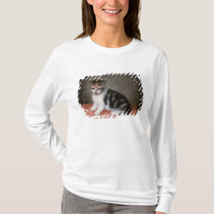George Stubbs   Miss Ann White's Kitten, 1790 T-Shirt