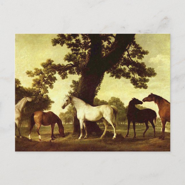 George Stubbs Postcard (Front)