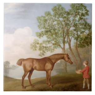 George Stubbs   Pumpkin with a Stable-Lad, 1774 (o Tile