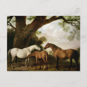 George Stubbs   Two Shafto Mares and a Foal, 1774 Postcard
