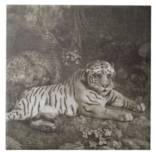 George Stubbs Two Tygers, engraved by the artist Tile