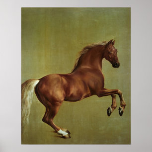 George Stubbs   Whistlejacket, 1762 Poster