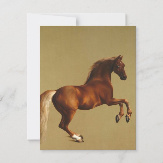 George Stubbs - Whistlejacket Thank You Card (Front)