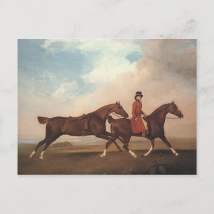 George Stubbs-William Anderson,two saddle-horses Postcard