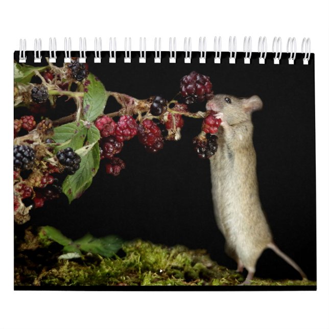 George the mouse with black backgrounds calendar (Cover)