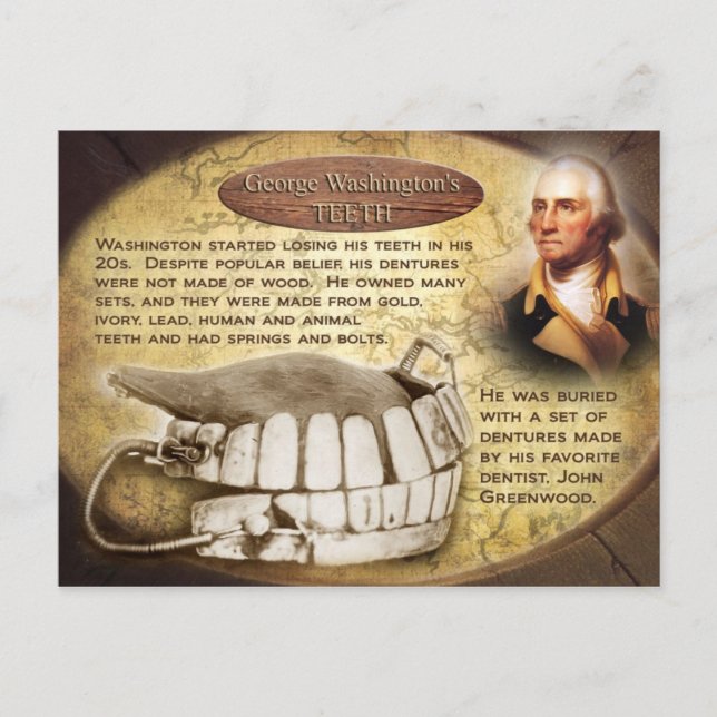 George Washington's Teeth (Dentures) Postcard (Front)