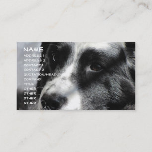 Georgia April 5 2009 012, Name, Address 1, Addr... Business Card