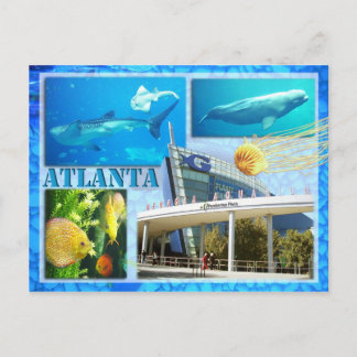 GEORGIA AQUARIUM, ATLANTA, GEORGIA POSTCARD