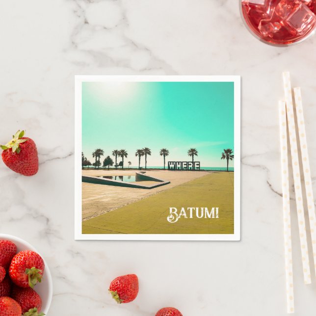 Georgia Batumi Architecture Landscape Napkin (Insitu)