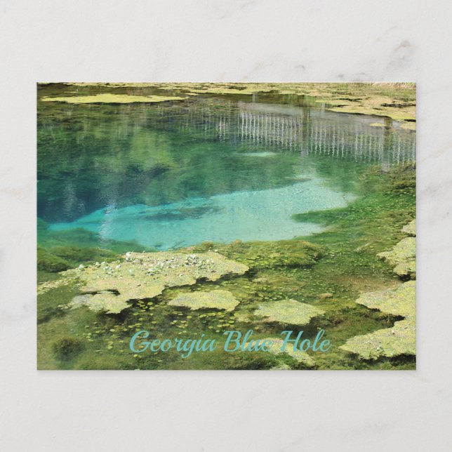 Georgia Blue Hole Postcard (Front)