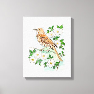 Georgia Canvas Print