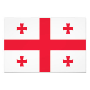 Georgia Flag Photo Print