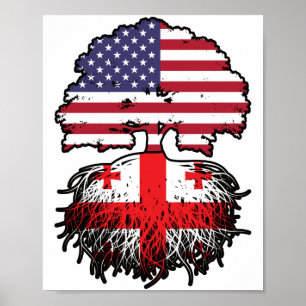 Georgia Georgian American USA United States Poster