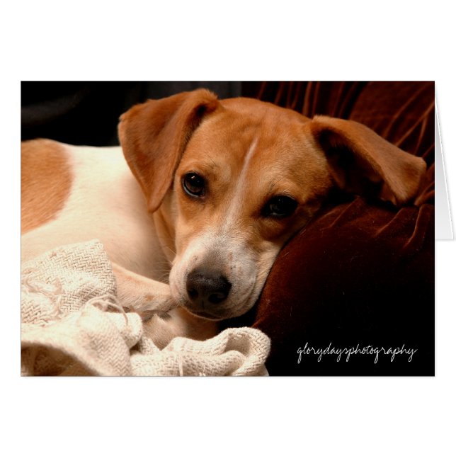 Georgia, glorydaysphotography (Front Horizontal)