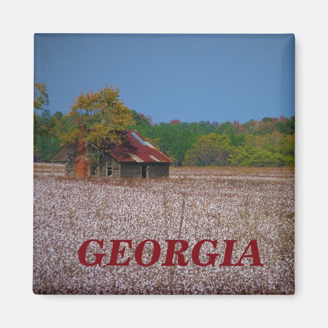 georgia magnet (Front)