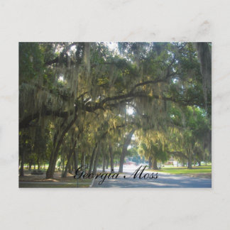 Georgia Moss Postcard