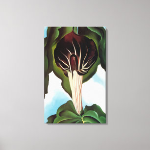 Georgia O'Keeffe - Jack-in-the-Pulpit III Canvas Print