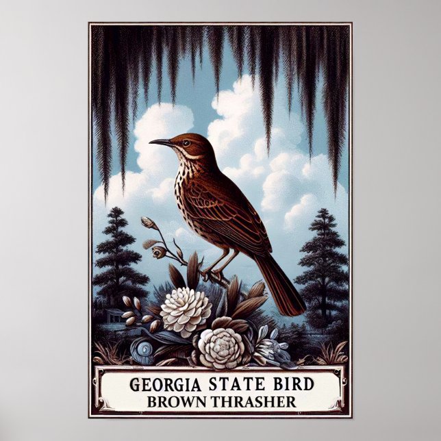 Georgia State Bird - Brown Thrasher Vintage  Poster (Front)