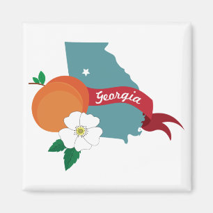 Georgia State Magnet