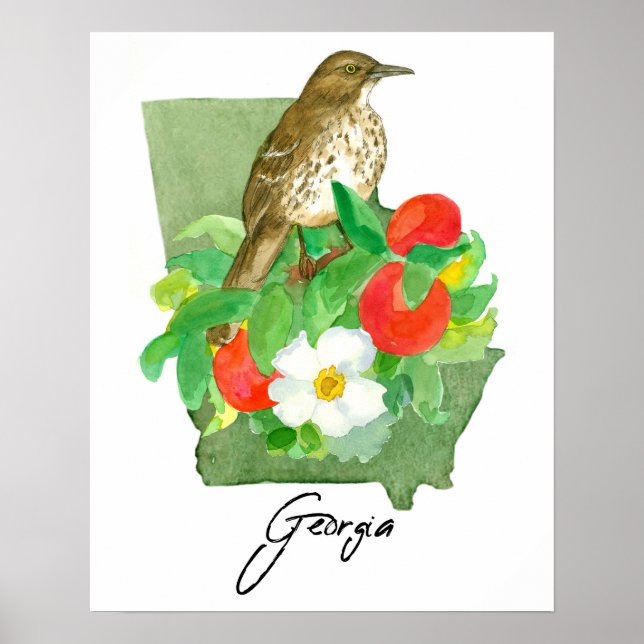Georgia State Shape Bird Brown Thrasher Poster (Front)