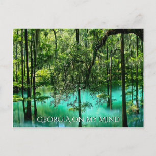 Georgia's Amazing Sights Postcard