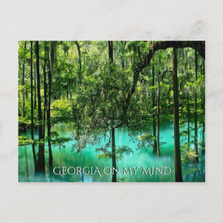 Georgia's Amazing Sights Postcard