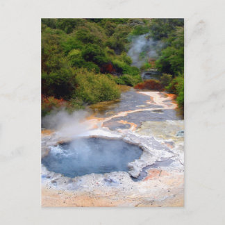 Geothermal Activity near Rotorua, New Zealand Postcard