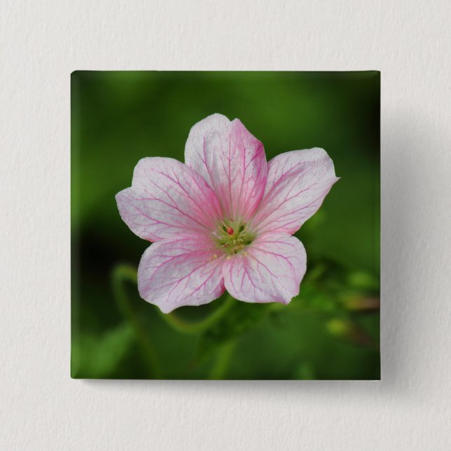 Geranium 15 Cm Square Badge (Front)