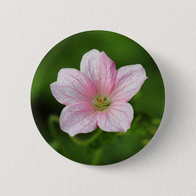 Geranium 6 Cm Round Badge (Front)
