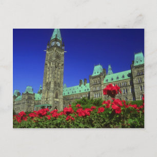 Geranium beds in full bloom on Parliament Hill, Ot Postcard