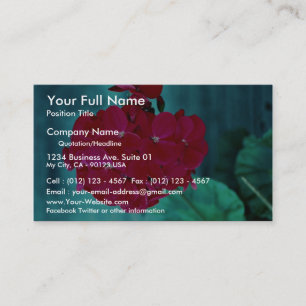 Geranium bloom head, Whitby, Ontario, Canada Business Card