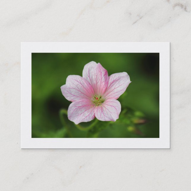 Geranium (Bordered) Business Card (Front)