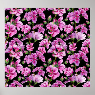 Geranium branches, watercolor pink buds. poster