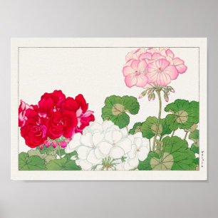 Geranium by Tanigami Konan Poster