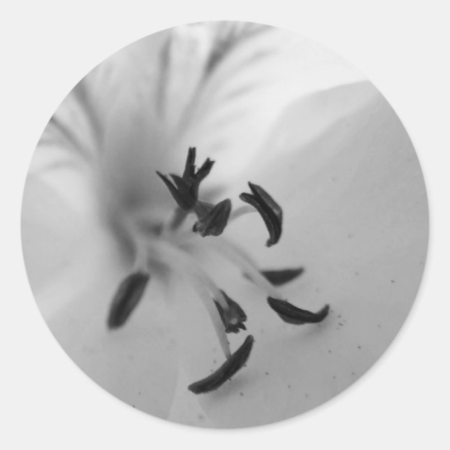 Geranium Centre Stickers B&W (Front)