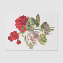 Geranium, decoupage