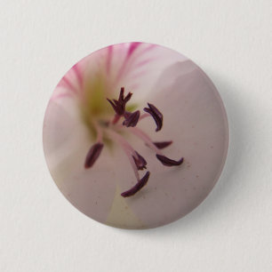 Geranium Detail Button