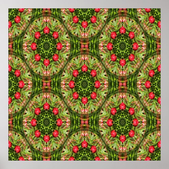 Geranium Gardens..... Poster (Front)