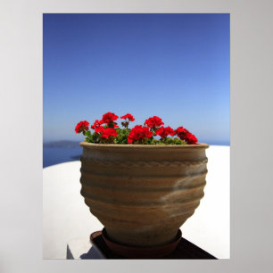 Geranium Poster